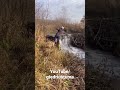 Satisfying moment when water starts to fall. Full video available on channel.