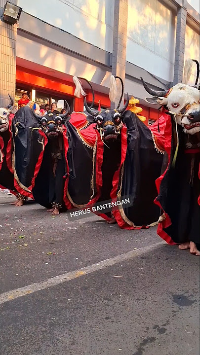 JUARA TERBAIK BANTENGAN SATRIO PUTRO ARJUNO #bantengan #mberot