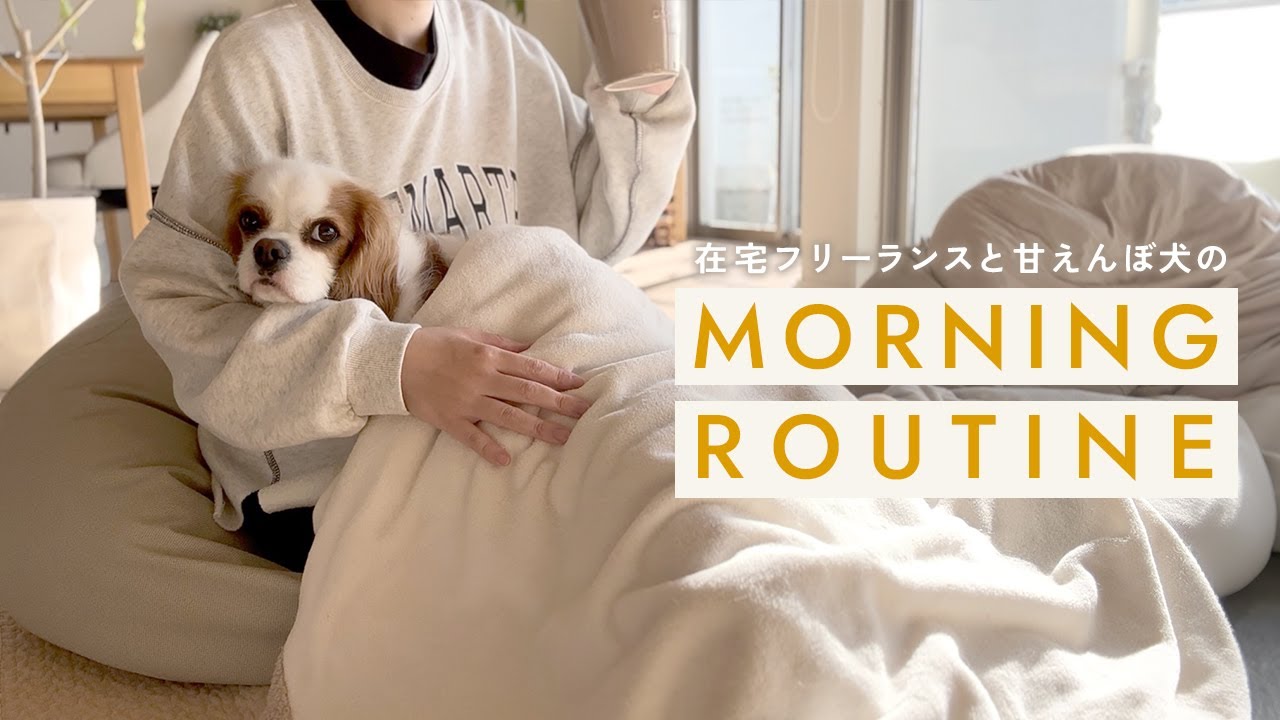 Утренняя рутина для домоседа-фрилансера и его милой собаки ☀️ [Japan Vlog]