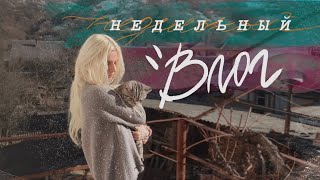 ♡VLOG: мой день рождения, встреча с подписчиками, рутина // пытаюсь жить!