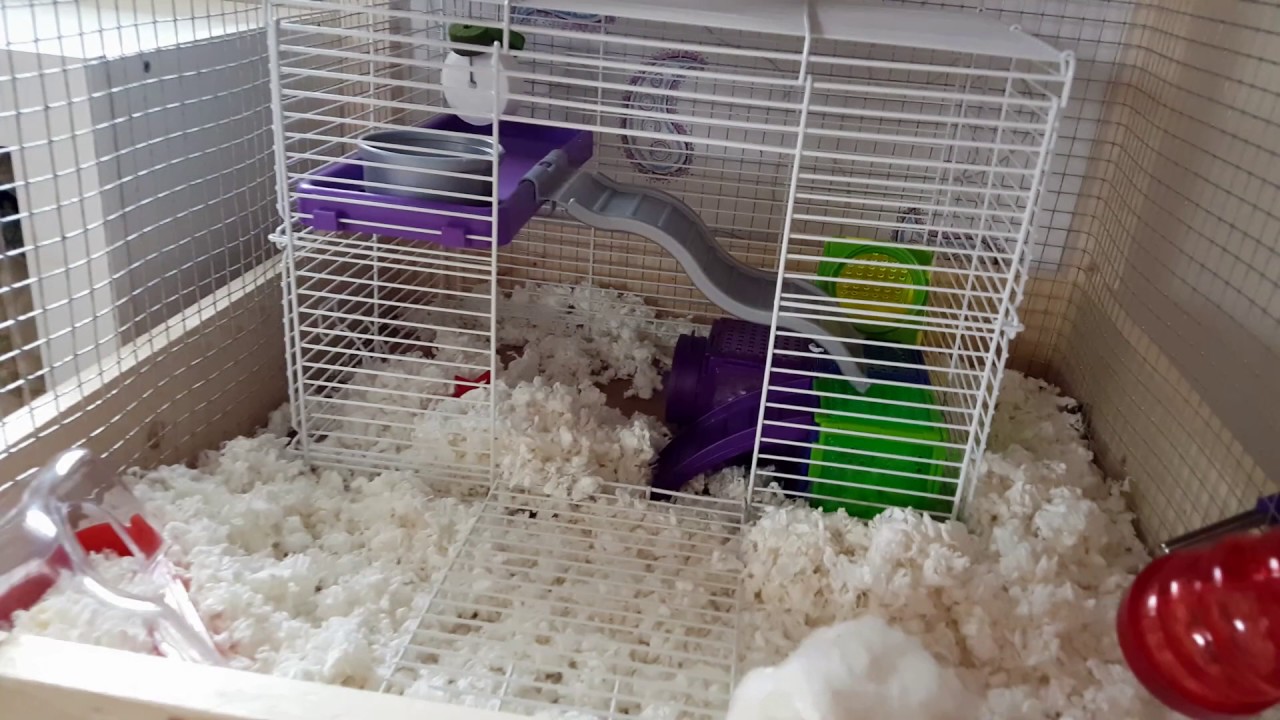 Building A Giant Hamster Cage YouTube