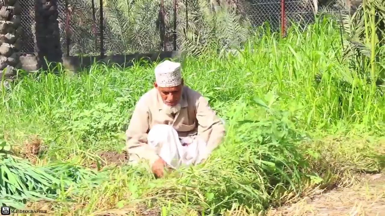 سيماء العلاية | ولاية إزكي | محافظة الداخلية