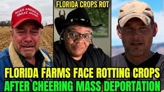 FLORIDA FARMERS BEG FOR HELP AS CROP ROT AFTER CHEERING DEPORTATION