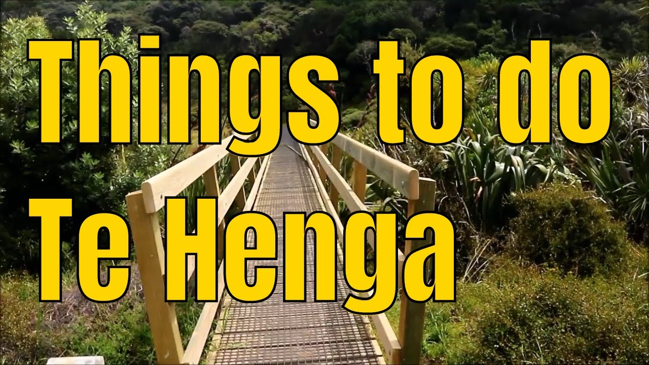The 3 best things to do in Te henga, Auckland