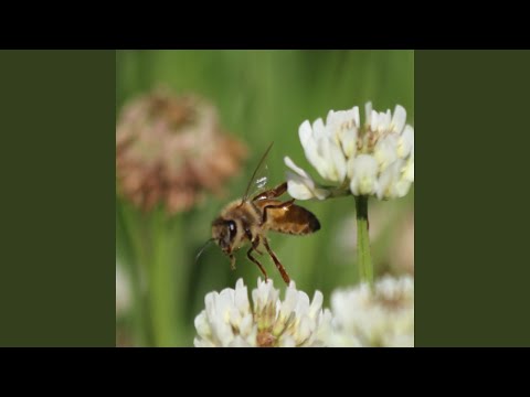 Waiting On A Broken Clock