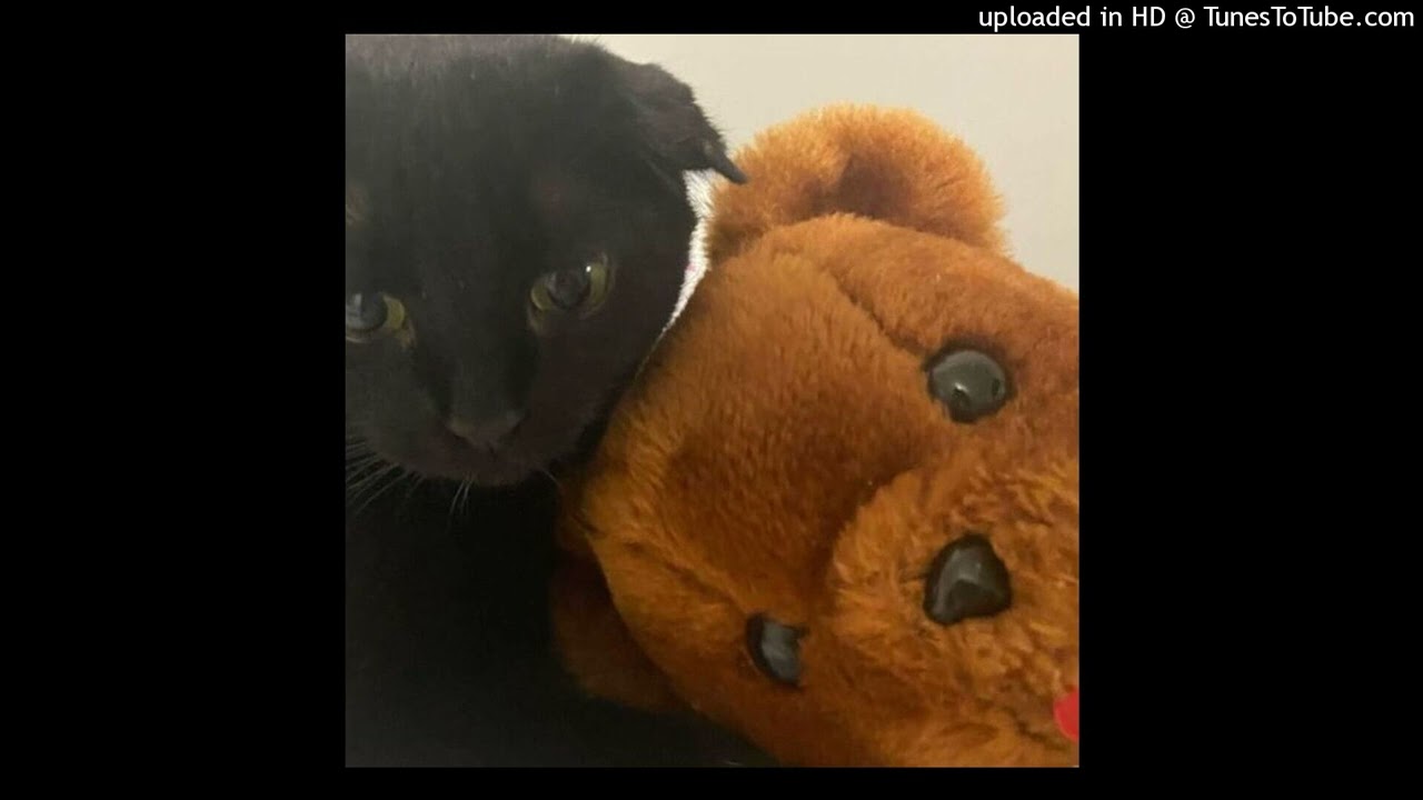 DDG & PlaqueBoyMax - 