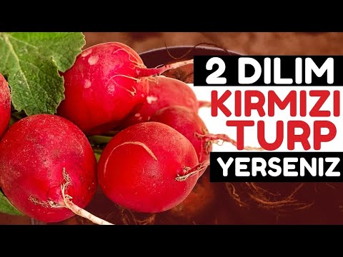 Video: Kısraklarda kırmızı torbaya ne sebep olur?