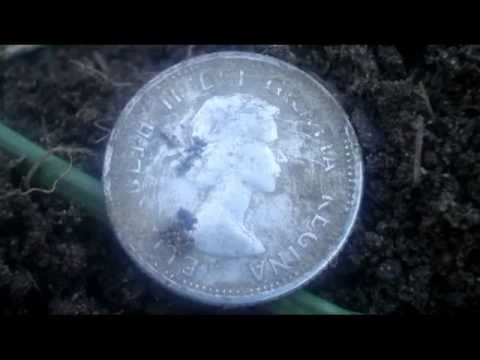 Michigan Metal Detecting Silvers Indian And Wheats October 7th 2010