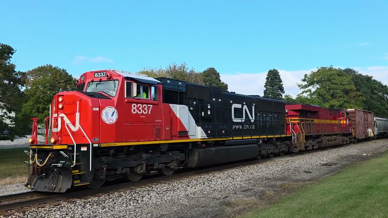 CN   M   399