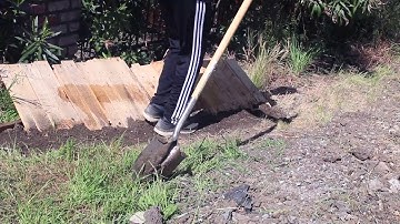 Video Advent Calendar | Day 5