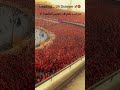 رعب جمهور الأهلي Football Alahly Shorts