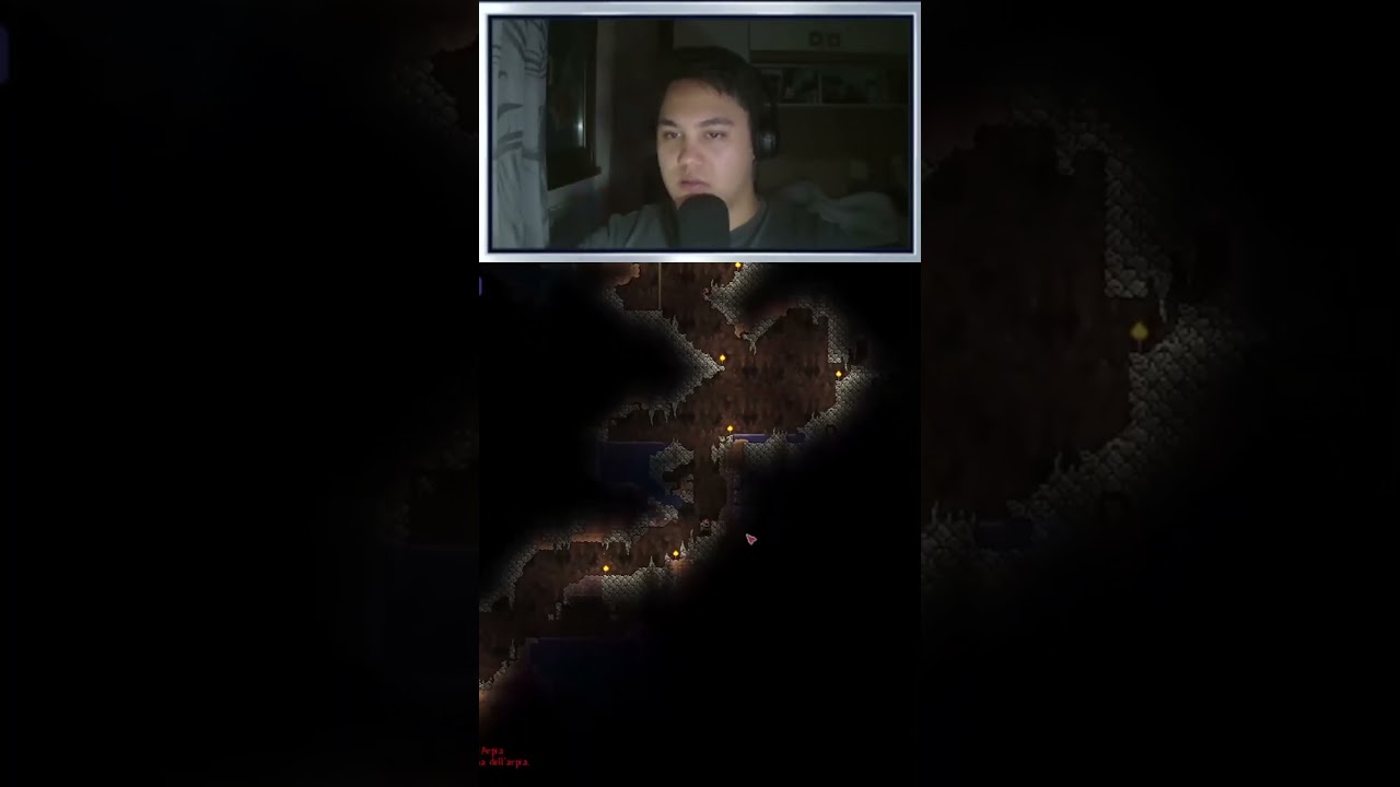 La mia prima volta su terraria 