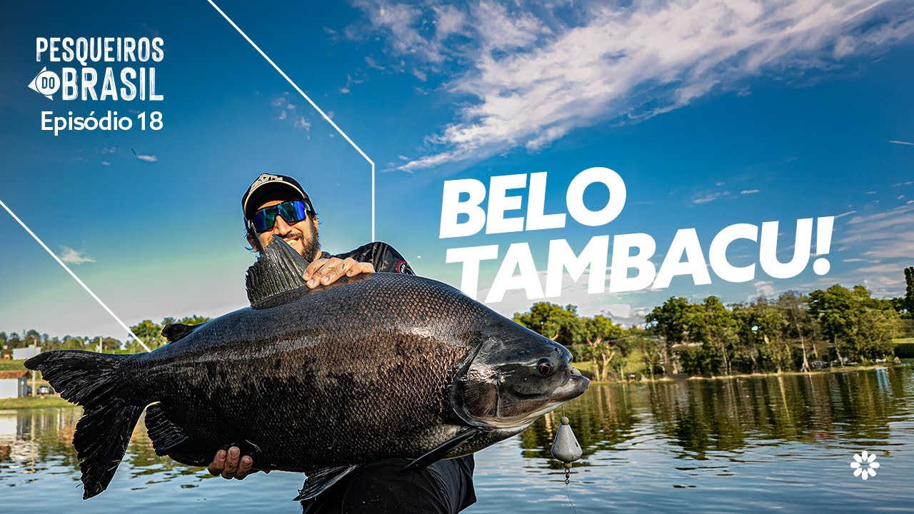 RECEITA INFALÍVEL PARA TAMBAS! Beijinho faz a festa no Quinta do Aveiro
