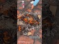 Cenava W80N fire test Abi