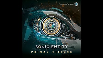 Sonic Entity - 