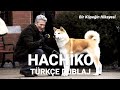 HACHİKO / Bir Köpeğin Hikayesi TR Dublaj Full izle / Aile-Dram filmi