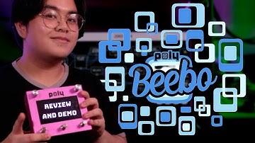 Poly Effects Beebo - The Ultimate Super Pedal! || Demo and Review
