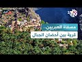 مسفاة العبريين قرية الجبال والجداول والحدائق معلقة في سماء عمان  الجار الغريب