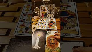 3 octobre 2025#bienetre #tarot #âme #guidance #cartes #tirages
