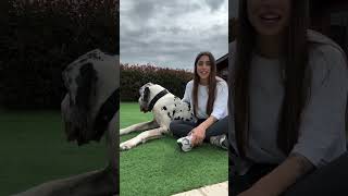 State pensando di prendere un cane o un gattopetevaofficial ha creato due guide semplici, chiar