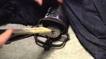 #1 Leghold kill set for weasels and Squirrels