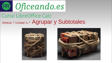 Agrupar datos y Subtotales – Curso LibreOffice Calc Básico – Módulo 7 Unidad 4