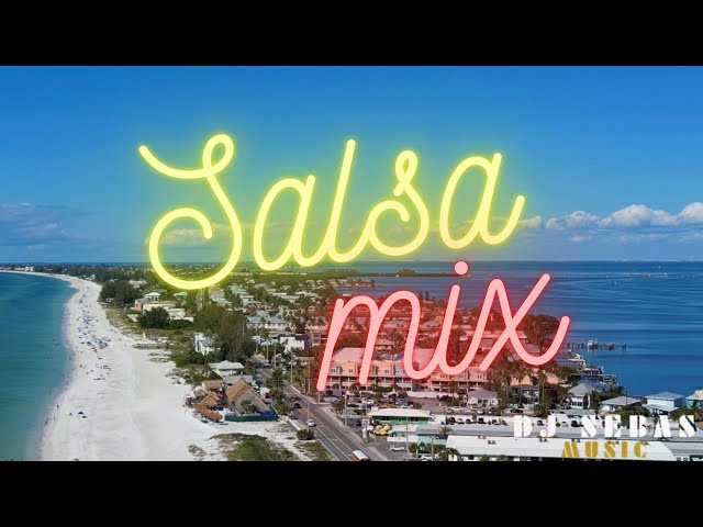 🔥 SALSA MIX EN LA PLAYA 🥃  YIYO SARANTE, EDDIE SANTIAGO, ADOLESCENTES...🎤  DJ SEBAS MUSIC class=