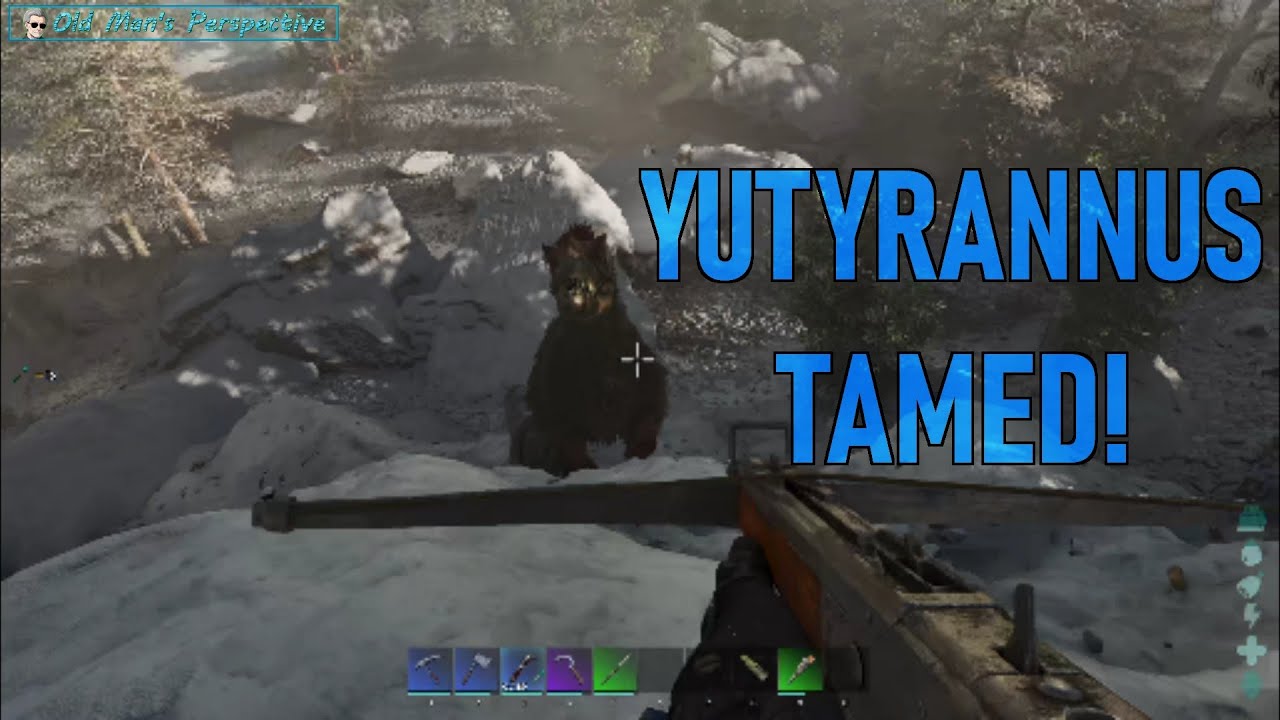 Relentless Snow Hunt… Yutyrannus Successfully Tamed - Ark Survival Ascended - The Island (EP205)
