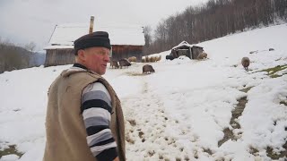 Зимове життя гуцулів у найвисокогірнішому хуторі Квасів.