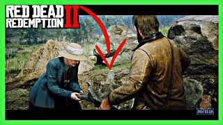 Finding A Huge Dinosaur Fossil During Your First Encounter With Deborah Macguiness In Red Dead 2