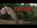 WAS I SKUNKED BY MY CO-ANGLER ON LAKE JAMES???
