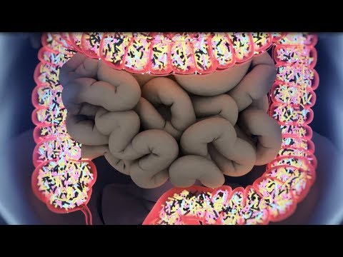 Video: Distinto Impatto Degli Antibiotici Sul Microbioma Intestinale E Sul Resistoma: Uno Studio Di Coorte Longitudinale Multicentrico