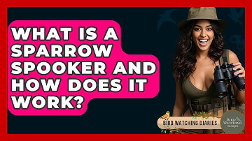 What Is A Sparrow Spooker And How Does It Work? - Bird Watching Diaries
