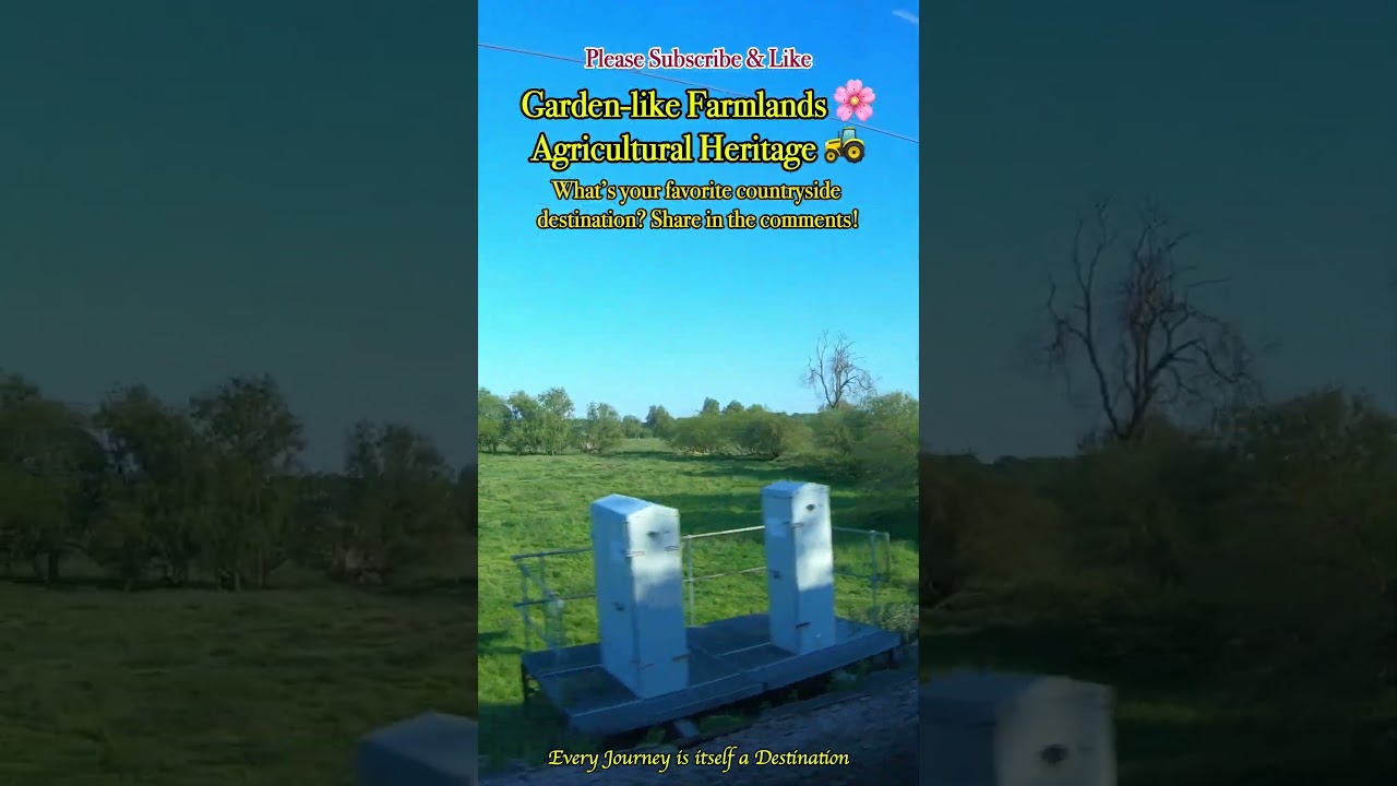 🌸Garden-Like Fields & Summer Train Journey 