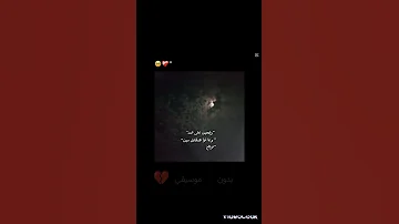 بدون موسيقى لايك رايحين على فين 