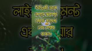 আল্লাহর প্রিয় ৪টি বাক্য || জিকিরের তাজবিহ shorts