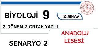 Biyoloji 9. Sınıf 2. Dönem 2. Yazılı MEB Senaryo 2 Soruları (açık uçlu / klasik) Anadolu Lisesi