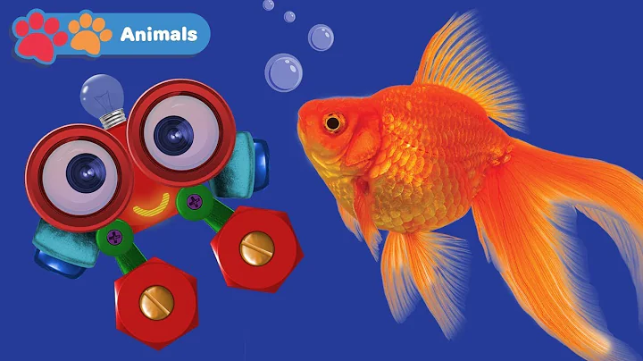 Learn Sea Animals for Kids with Robi | Animals Nam...