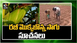 Rabi Maize Cultivation Tips | Maize Farming (Corn) Information Detailed Guide | Matti Manishi