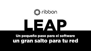 Ribbon Learning Enabled Automation Program (LEAP) - Pruebas y Actualizaciones Automatizadas