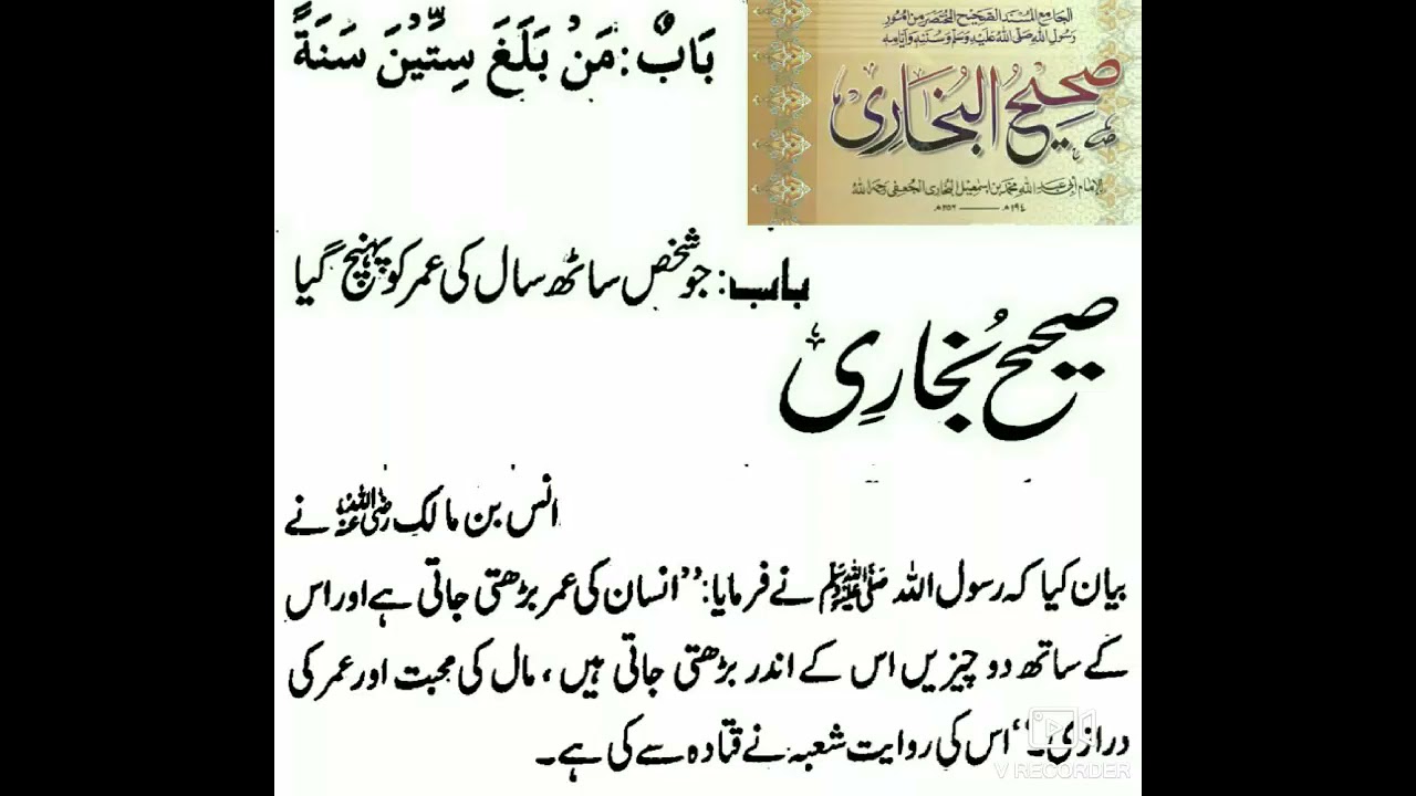 Opa-singillar bilan onlayn porno Filmi zapreshchonnie tsensoroi iz za pornografiya