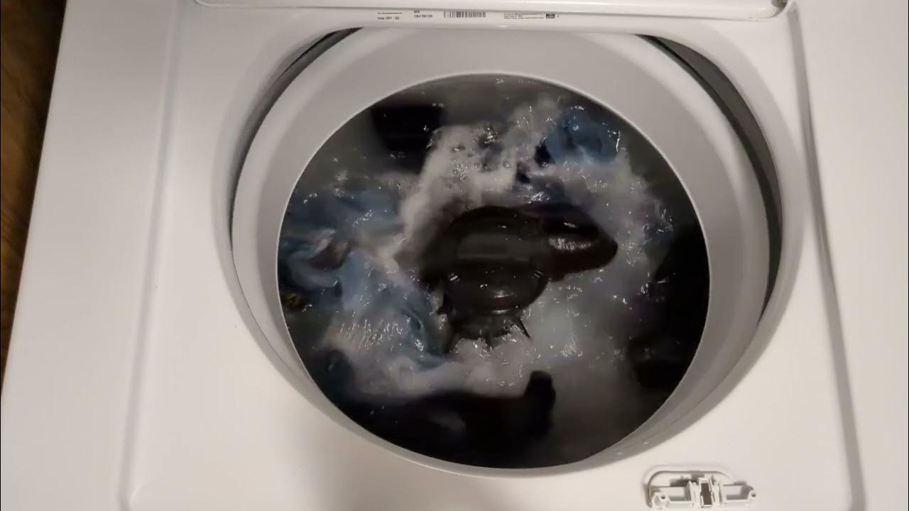 5 jeans Whirlpool CAE2795FQ1. Correction May 12 not September