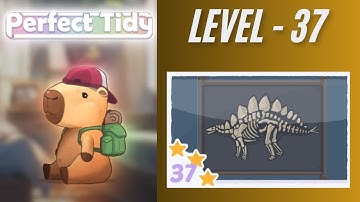 Perfect Tidy Level 37 Solutions