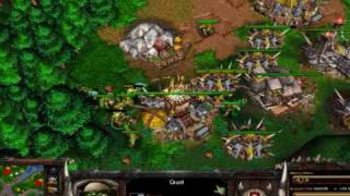 Warcraft III Bug() saves Grunt