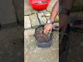 Best way for planting chilli plants #gardening #chilliplant