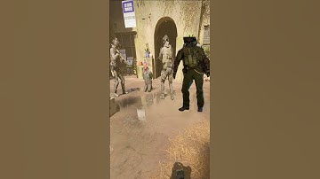 WHAT IS ENTRY TEAM DOING!!! ready or not meme  #readyornot #gaming #update #swat #ai #johnwick