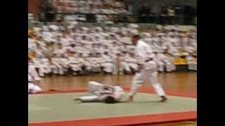 Фестиваль Боевых Искусств. Карате