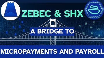 ZEBEC & SHX: A BRIDGE to MICROPAYMENTS AND PAYROLL