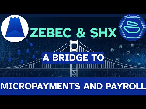ZEBEC & SHX: A BRIDGE to MICROPAYMENTS AND PAYROLL