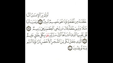 سورة يس 17 القسم السابع عشر تكرار كيفي من .. أولم ير الإنسان أنا خلقناه من نطفة .. إلى .. توقدون